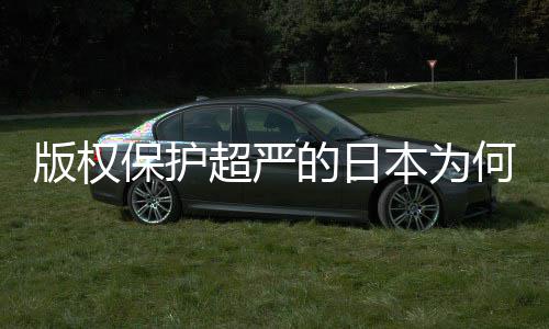 二创人文行超严的日地带业界版权保护本为揭秘何同化盛灰色