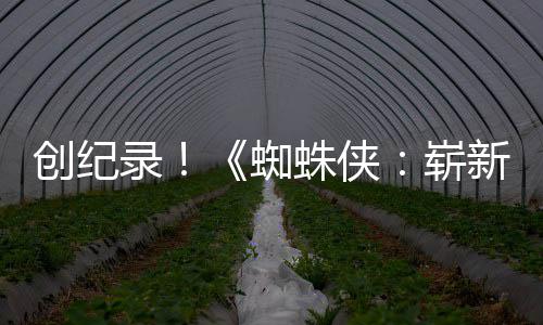 日新之小时破5创纪预告亿观看录蜘蛛侠崭