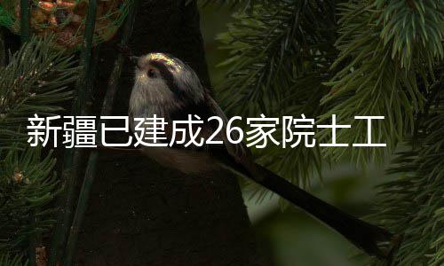 新疆成2已建院士工作站6家