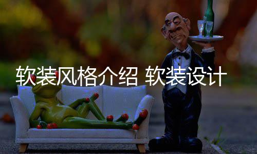 软装 软点是装设介绍计优风格什么