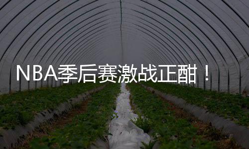 衔红畅篮彩1单刘0连正酣A季激战后赛红领